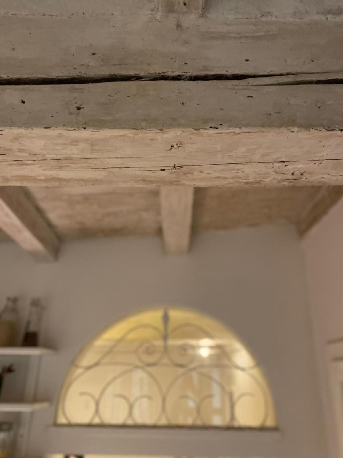 Casina Centotrecento-Romantic & Quite Apartment- Bolonia Zewnętrze zdjęcie